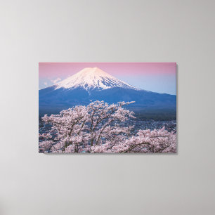 Mt Fuji und Kirschblüten Leinwanddruck