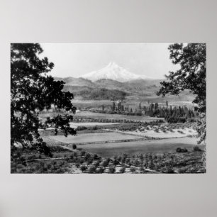 Mt. Haube von der Hood River Tal-Fotografie Poster