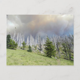 Mt. Jefferson Wilderness Postkarte