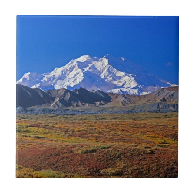 Mt. McKinley Denali Nationalpark , Alaska Fliese (Vorderseite)