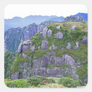 Mt. Nagata, Yakushima, Kagoshima, Japan Quadratischer Aufkleber