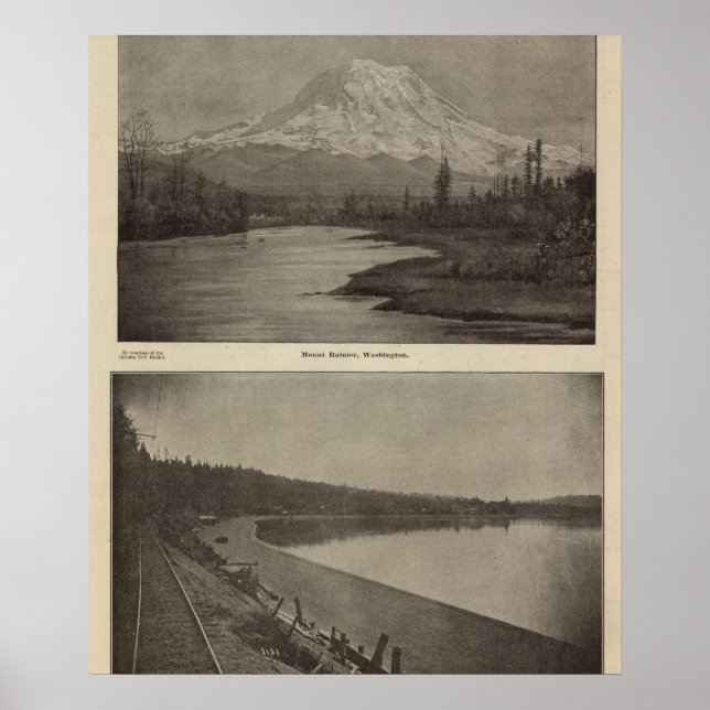 Mt Rainier Steilacoom Beach Poster (Vorne)