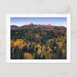 "Mt. Sneffel - Dallas Divide Road" Postkarte