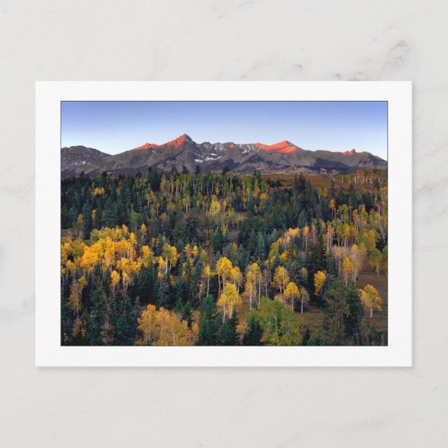 "Mt. Sneffel - Dallas Divide Road" Postkarte (Vorderseite)