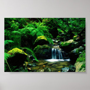 Mt. Tamalpais State Park Poster