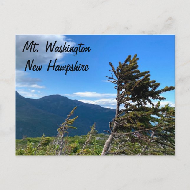 Mt. Washington, NH Postkarte (Vorderseite)