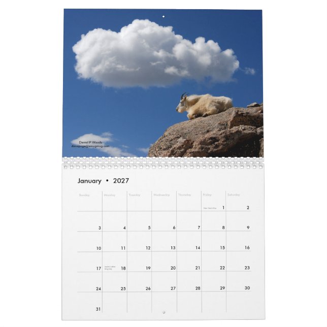 Mt-Ziegen auf Mt Evans, Colorado Kalender (Jan 2027)