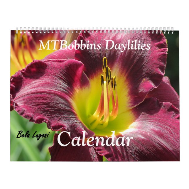 MTBobbins Taglilien - mit Namen - großer Kalender (Titelbild)