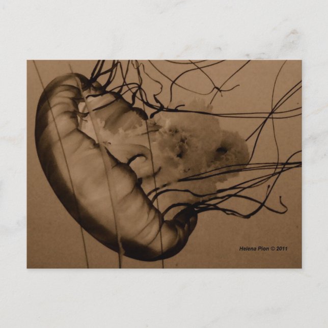 MTV 3 POSTKARTE (Vorderseite)