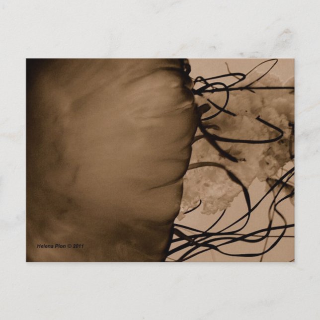 MTV 5 POSTKARTE (Vorderseite)