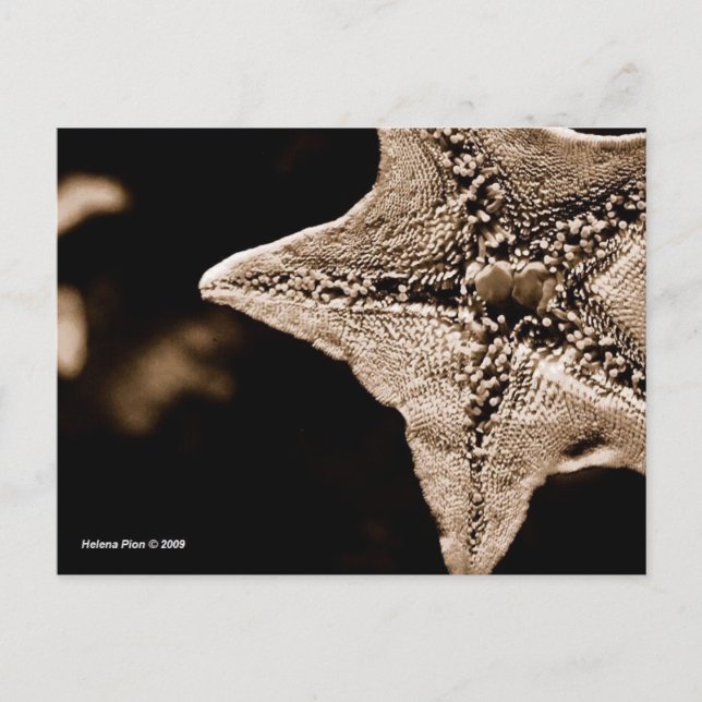 MTV 7 POSTKARTE (Vorderseite)