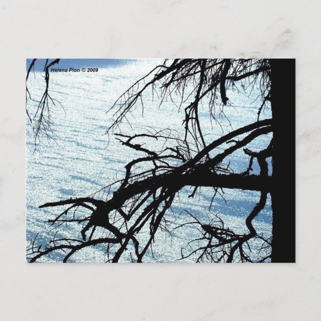 MTV 9 POSTKARTE (Vorderseite)