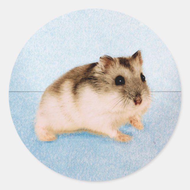 Mu Mu, der Hamster Runder Aufkleber (Vorderseite)