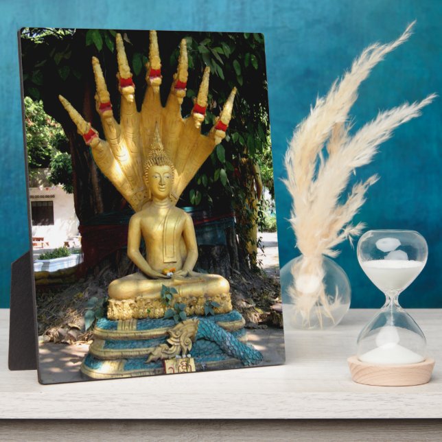 Mucalinda Fotoplatte (Seite)