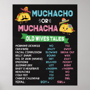 Muchacho oder Muchacha Taco Gender Reveal Party-Ze Poster