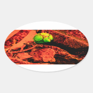 Mückenforscherin Ovaler Aufkleber