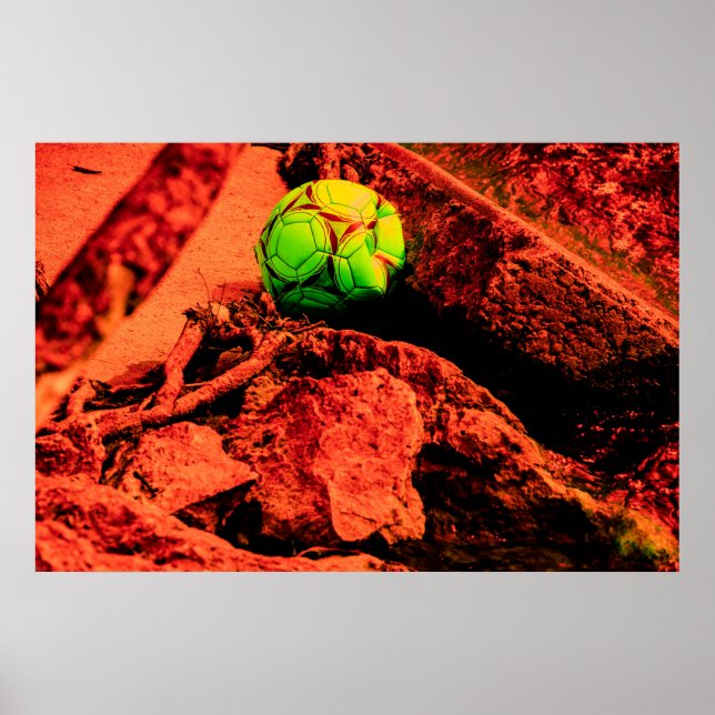 Mückenforscherin Poster (Vorne)