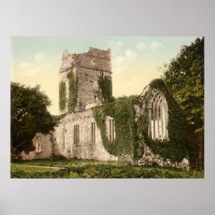 Muckross Abbey, Killarney, Landkreis Kerry Poster