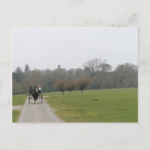 Muckross Haus, Killarney Irland Postkarte