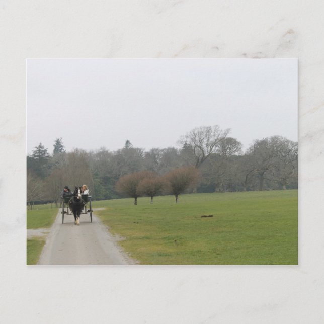 Muckross Haus, Killarney Irland Postkarte (Vorderseite)