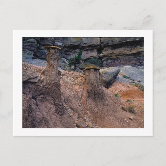 "Mud Caps" Postkarte (Vorderseite)