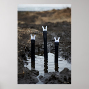 Mud Diving Mattposter Poster