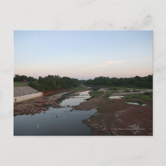 Mud Flats Postkarte (Vorderseite)