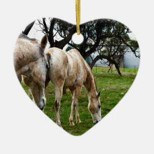 Muddy White Horses, Keramikornament