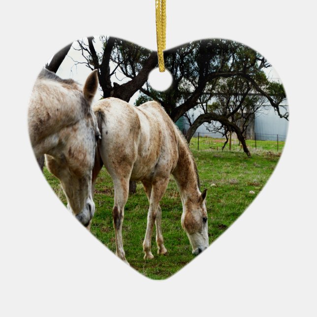 Muddy White Horses, Keramikornament (Vorne)