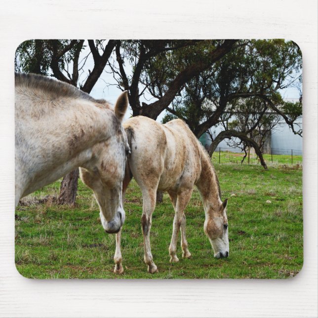 Muddy White Horses, Mousepad (Vorne)
