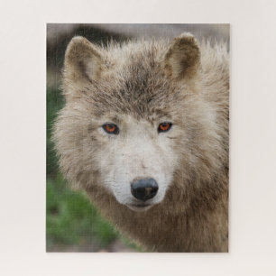 Muddy White Wolf Puzzle