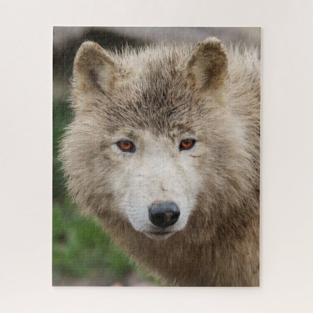 Muddy White Wolf Puzzle (Vertikal)