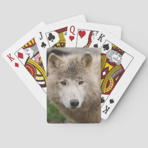 Muddy White Wolf Spielkarten