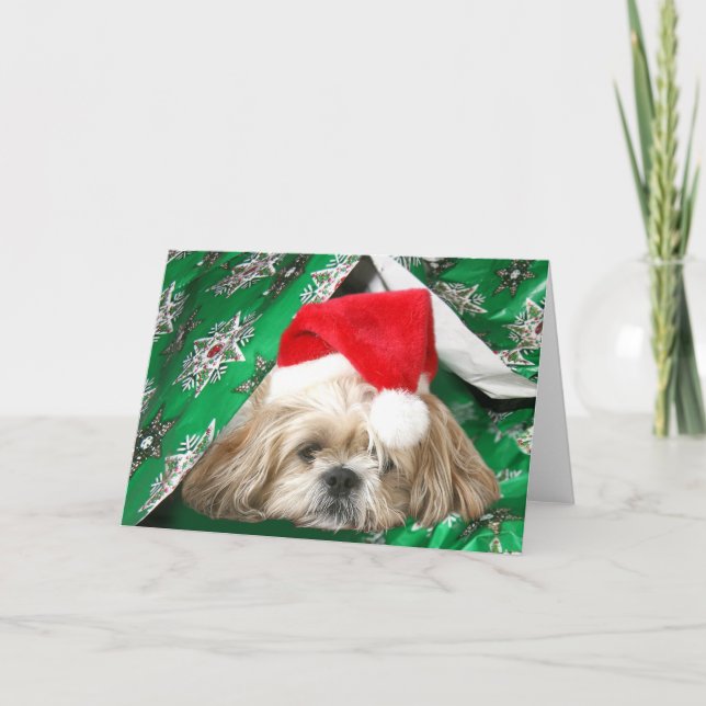 Müdes Weihnachten Shih Tzu (Vorderseite)