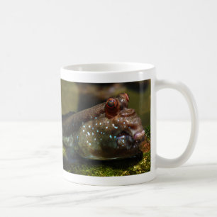 Mudskipper amphibische Fische Oxudercinae Tasse