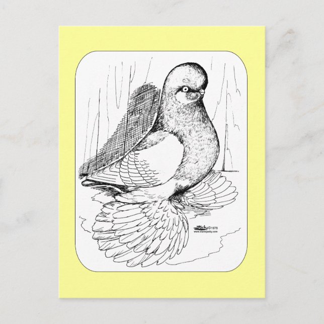 Muffed Tumbler Saddle 1978 Postkarte (Vorderseite)