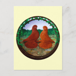 Muffed Tumbler Tauben2 Postkarte