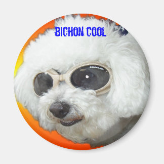 Muffet doggles orig, bichon cool magnet
