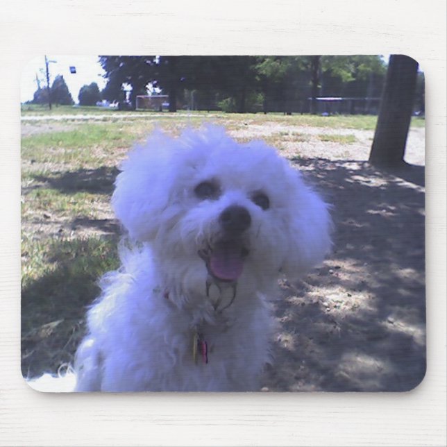 Muffie am Hundepark Mousepad (Vorne)