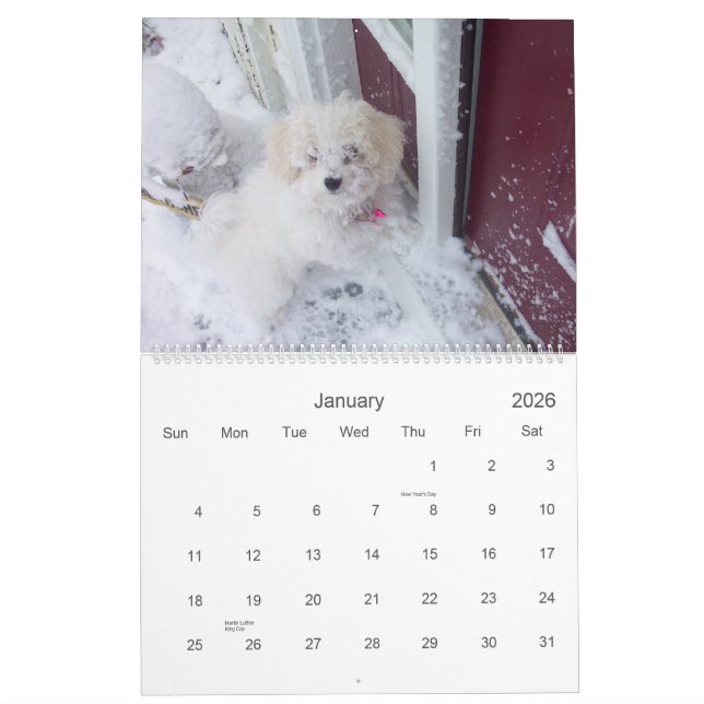 Muffie Kalender 2007 (Jan 2026)