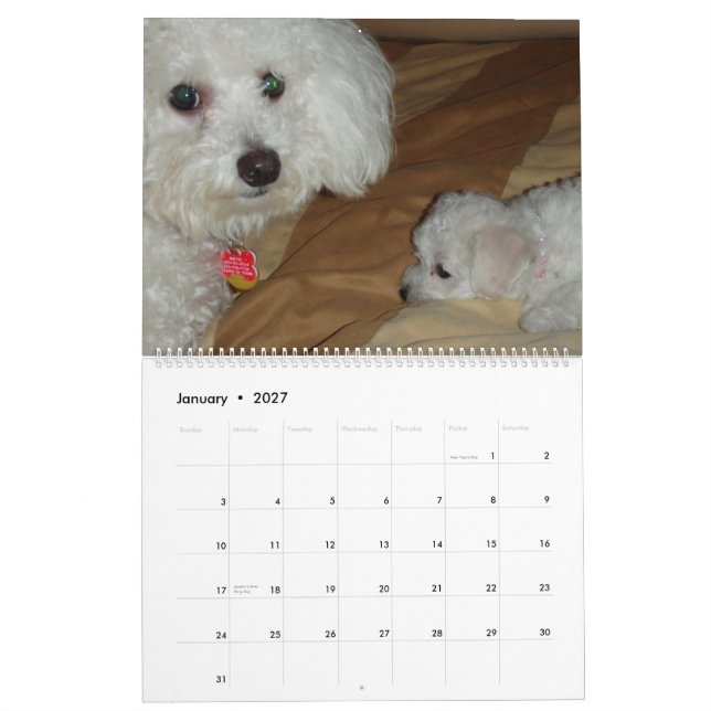 Muffie und Snowie 2008 Kalender (Jan 2027)