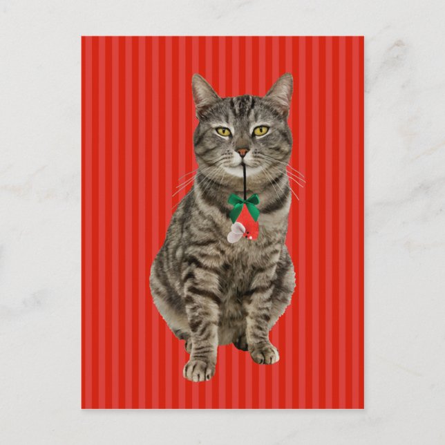 "Muffin Digs Christmas" - Urlaubspostkarte Postkarte (Vorderseite)