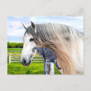 "Muffin & Saraband"  Postkarte