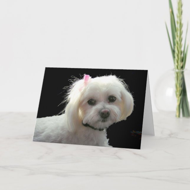 Muffys rosa Bogen Karte (Vorderseite)