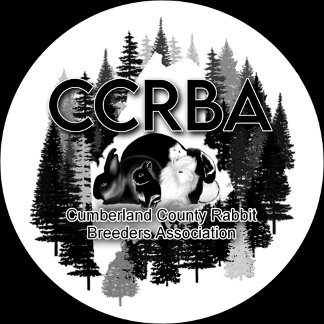 Mug Zweifarbige Tasse