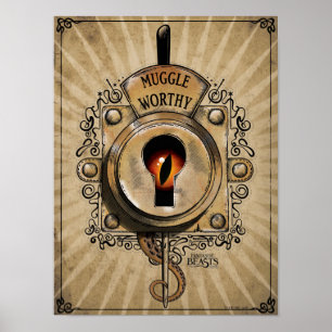 MUGGLE WORTH™ Lock Poster