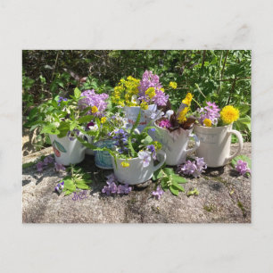 Muggy Summer Postcard dh2022 Postkarte