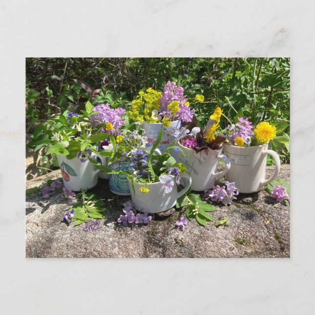 Muggy Summer Postcard dh2022 Postkarte (Vorderseite)