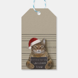 Mugshot Cat Christmas Geschenkanhänger
