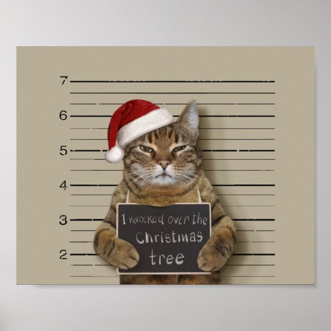 Mugshot Cat Christmas Poster (Vorne)